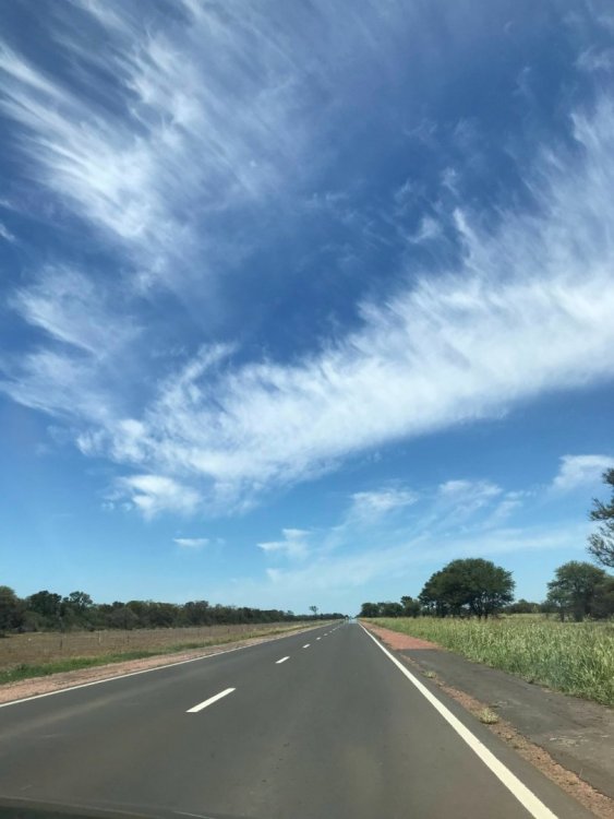 praticamente um tapete (: