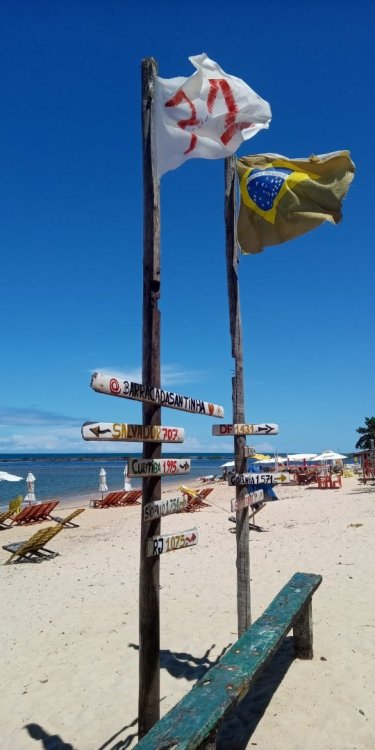 WhatsApp Image 2022-03-09 at 17.01.09.jpeg