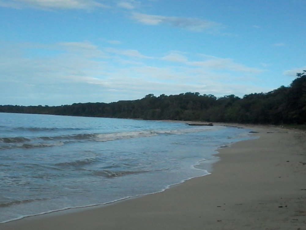 Parque Cahuita.jpg