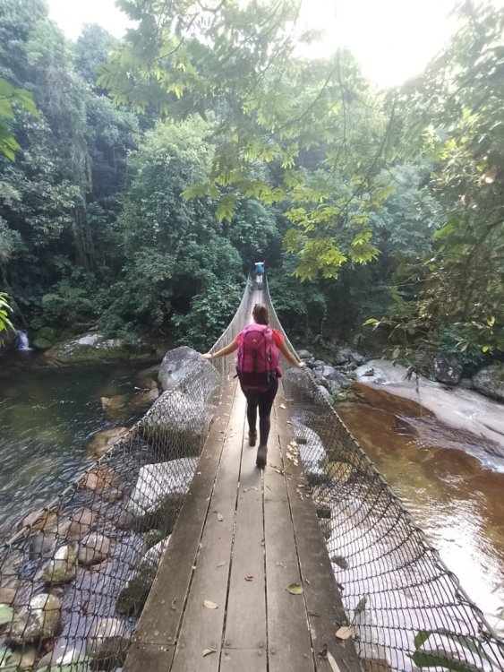 WhatsApp Image 2022-03-02 at 14.38.49.jpeg