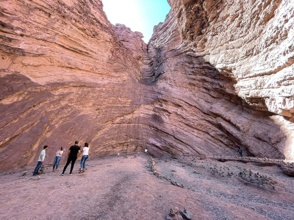 WhatsApp Image 2022-03-14 at 13.51.25.jpeg