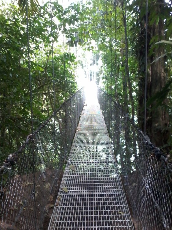Ponte la catarata.jpg