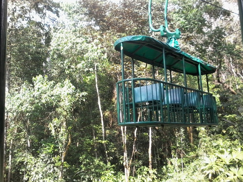 O teleferico da natureza.jpg