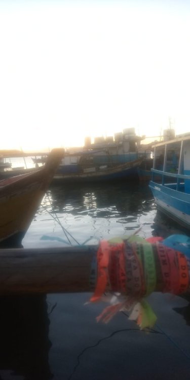 WhatsApp Image 2022-03-09 at 17.01.10.jpeg