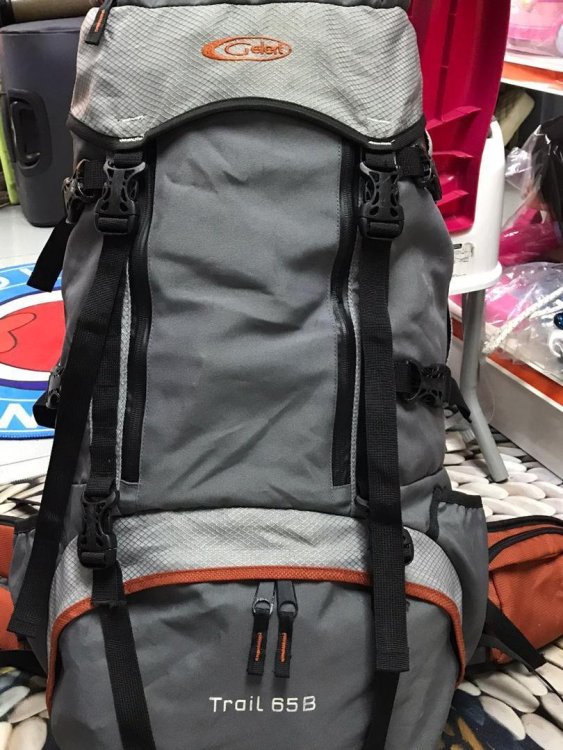 gellert_trail_65l_hiking_backp_1604694076_45521b04_progressive.jpg