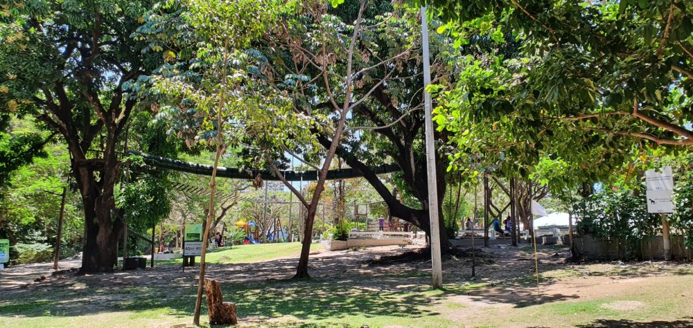 028 Parque do Cocó, Fortaleza, CE (2).jpg