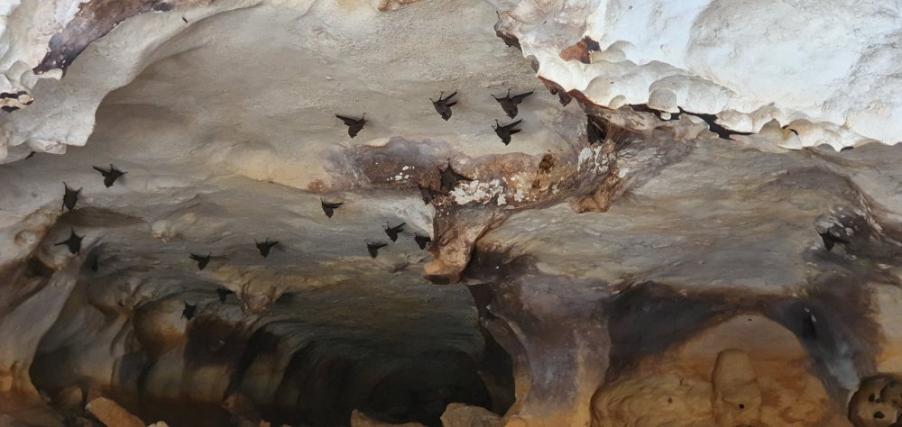 022 Lajedo de Soledade, Apodi, RN (15).jpg