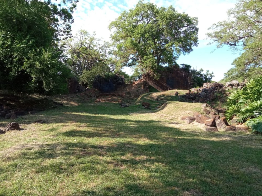 WhatsApp Image 2023-01-03 at 15.43.31.jpeg