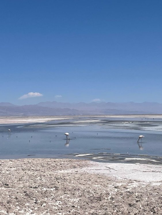 WhatsApp Image 2023-02-20 at 16.32.31.jpeg