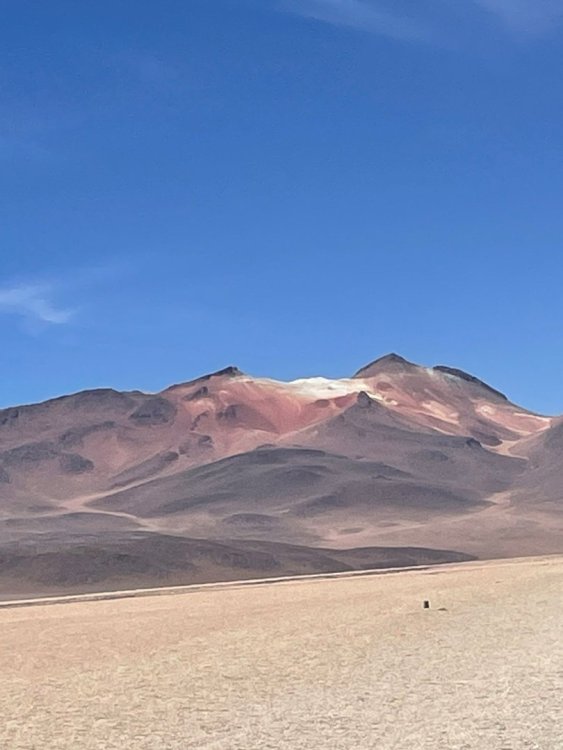 WhatsApp Image 2023-02-21 at 17.08.33 (3).jpeg