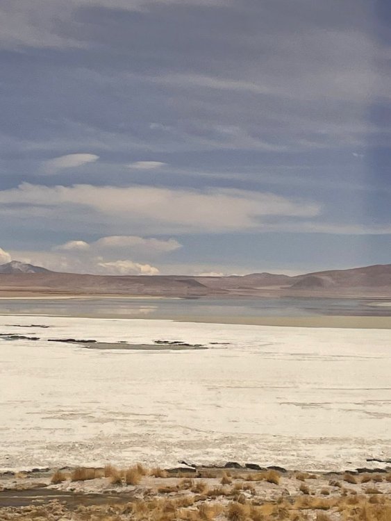 WhatsApp Image 2023-02-21 at 17.08.43.jpeg