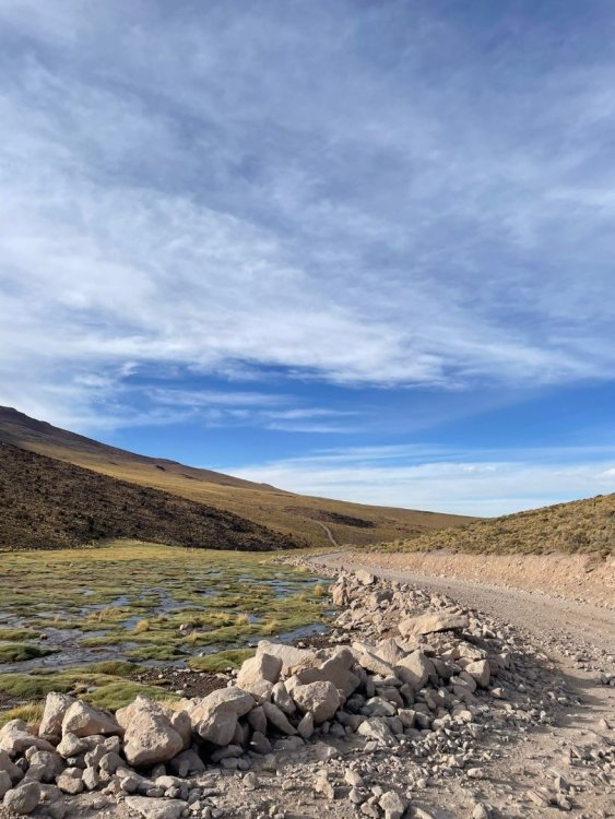 WhatsApp Image 2023-02-21 at 17.08.46.jpeg