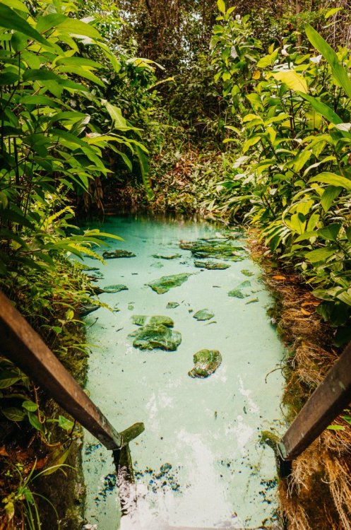 52C84C86-06D5-43B7-8408-05520B1A6ECD_L0_001-1_7_2023, 9_27_28 AM.jpg