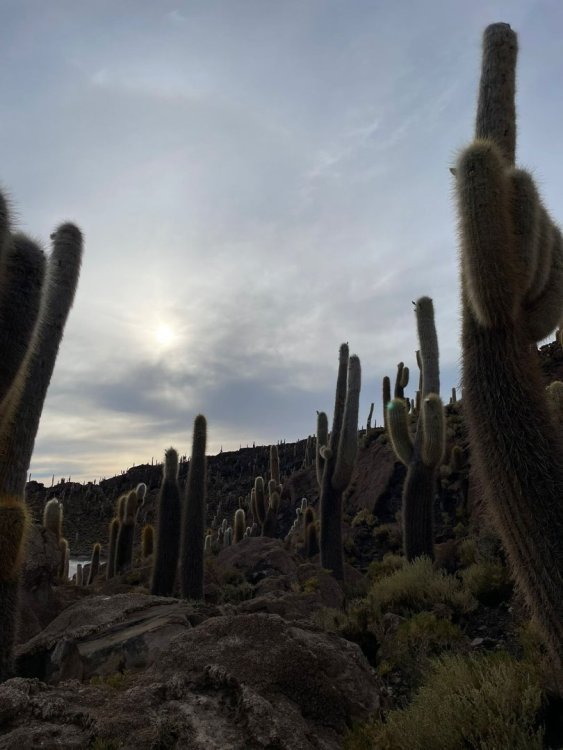 WhatsApp Image 2023-05-08 at 21.43.18 (2).jpeg