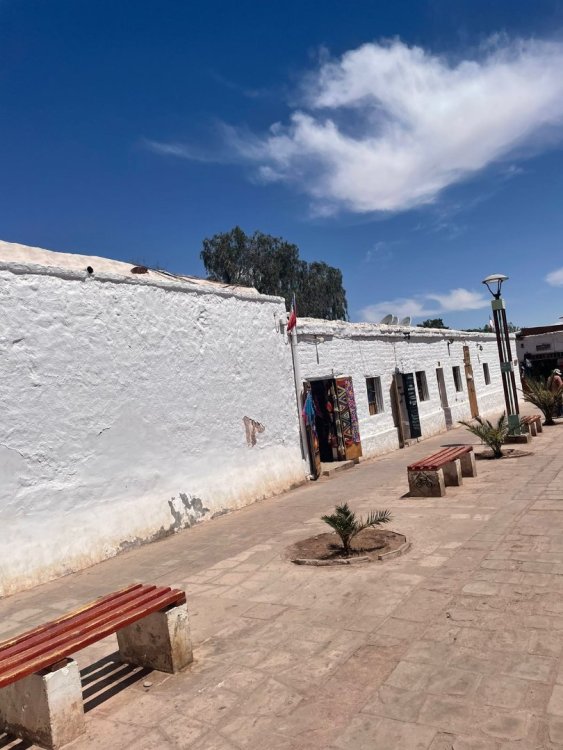 WhatsApp Image 2023-05-08 at 21.43.29.jpeg