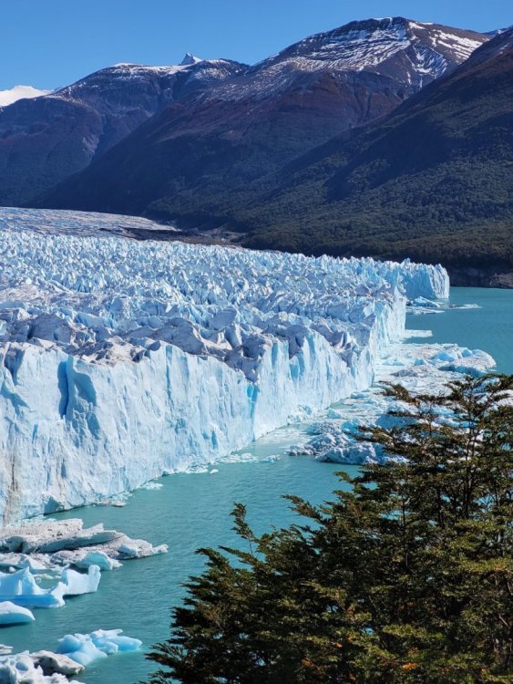 dia17glaciarperitomoreno10.jpg