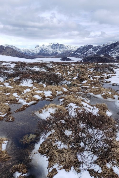 Trilha com neve, plantas e água