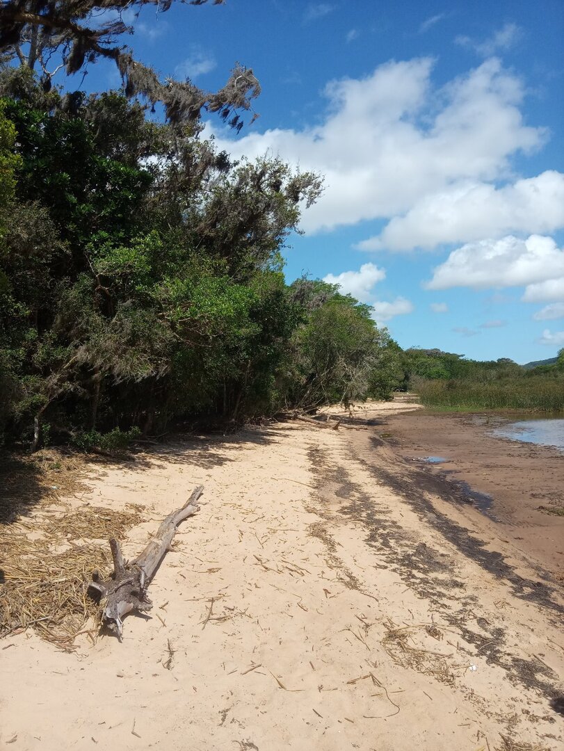 Praias do extremo-sul de Porto Alegre estão próprias para banho