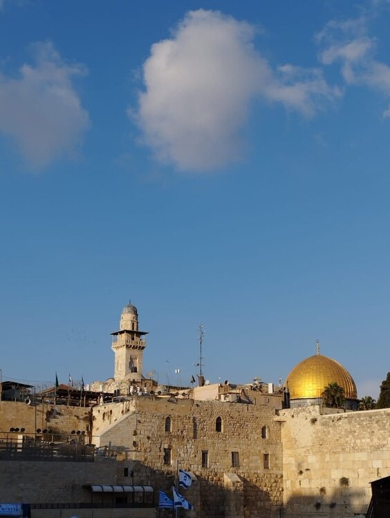 WhatsApp Image 2023-11-13 at 21.33.05 (1).jpeg