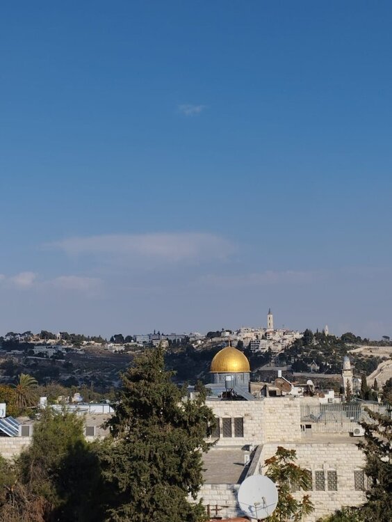 WhatsApp Image 2023-11-13 at 21.33.06 (1).jpeg