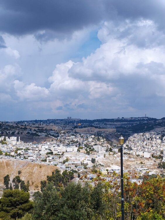 WhatsApp Image 2023-11-13 at 21.33.09 (1).jpeg