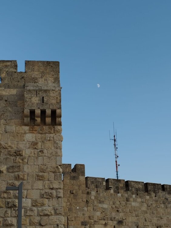 WhatsApp Image 2023-11-13 at 21.33.05.jpeg