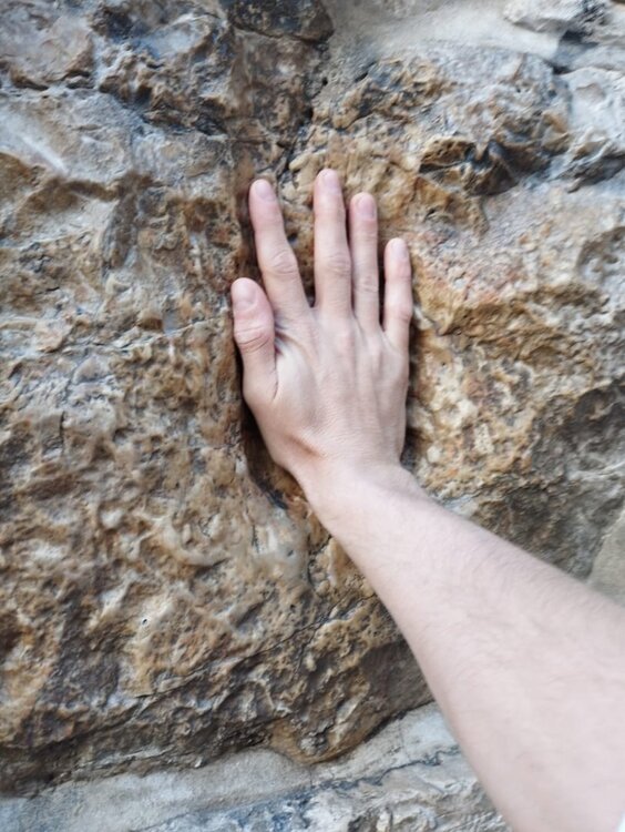 WhatsApp Image 2023-11-13 at 21.33.06.jpeg