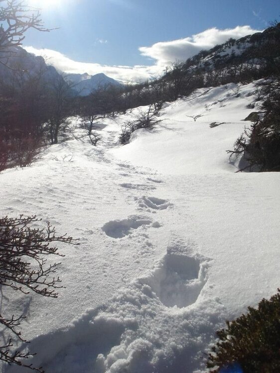 WhatsApp Image 2024-01-09 at 08.11.14.jpeg