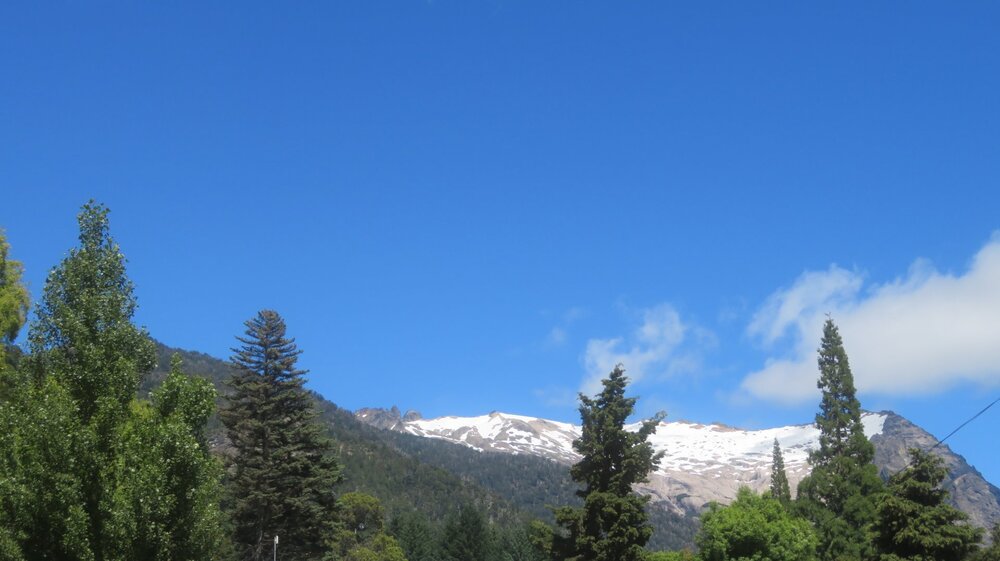 20240109002224_IMG_2601 (1).JPG