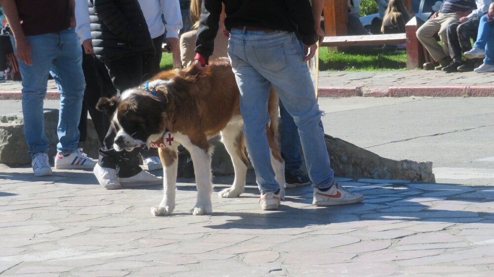 20240109065719_IMG_2640 (1).JPG