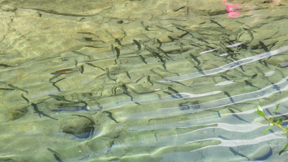 20240111151228_IMG_2837 (1).JPG