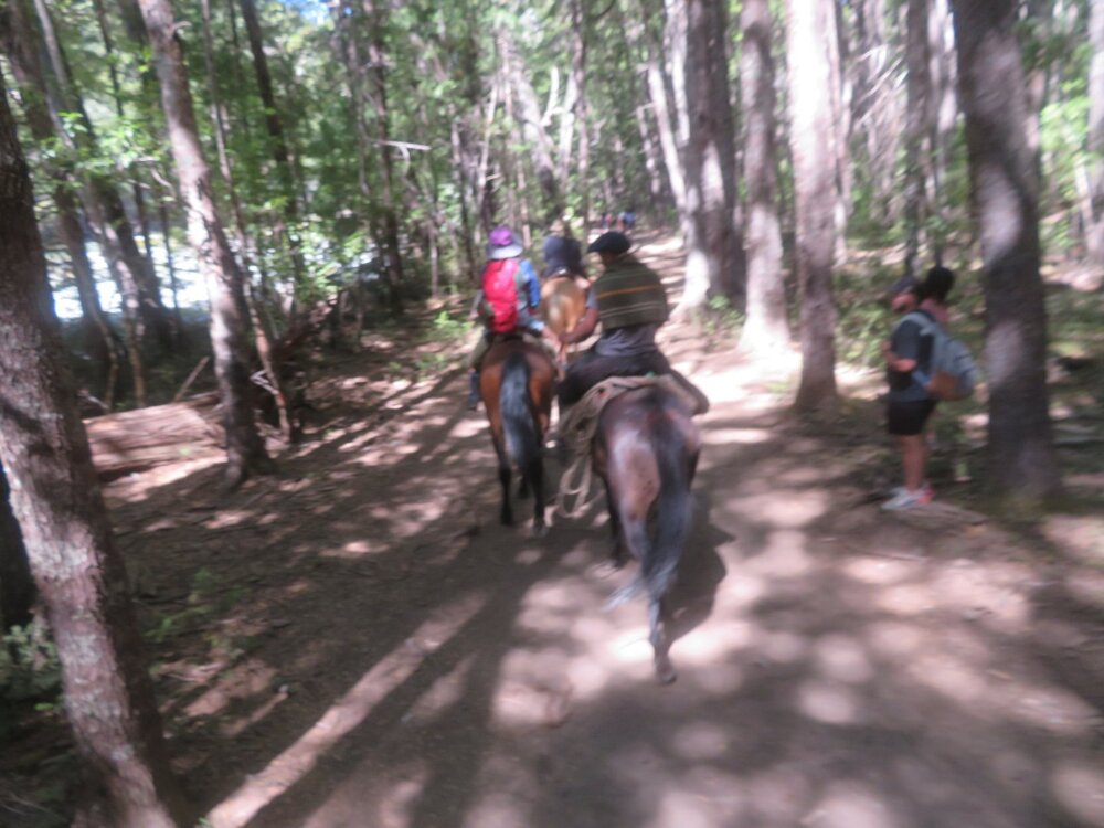 20240111161609_IMG_2870 (1).JPG