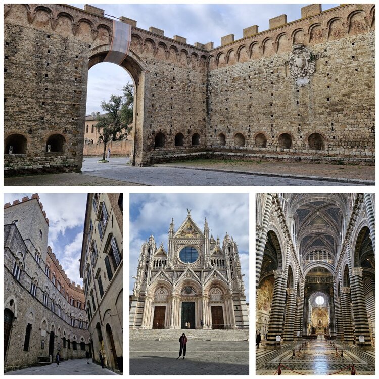 siena1.thumb.jpeg.a149729a2aa0a8b17f29720dcf9bbbee.jpeg