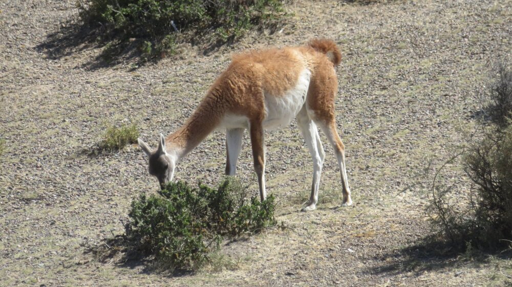 20240115112116_IMG_3097 (1).JPG