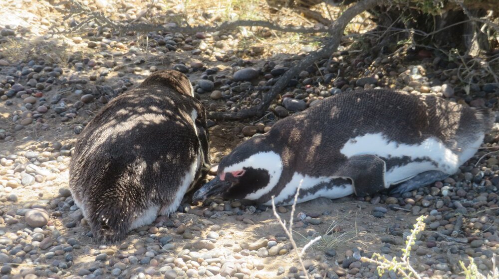 20240115112920_IMG_3106 (1).JPG