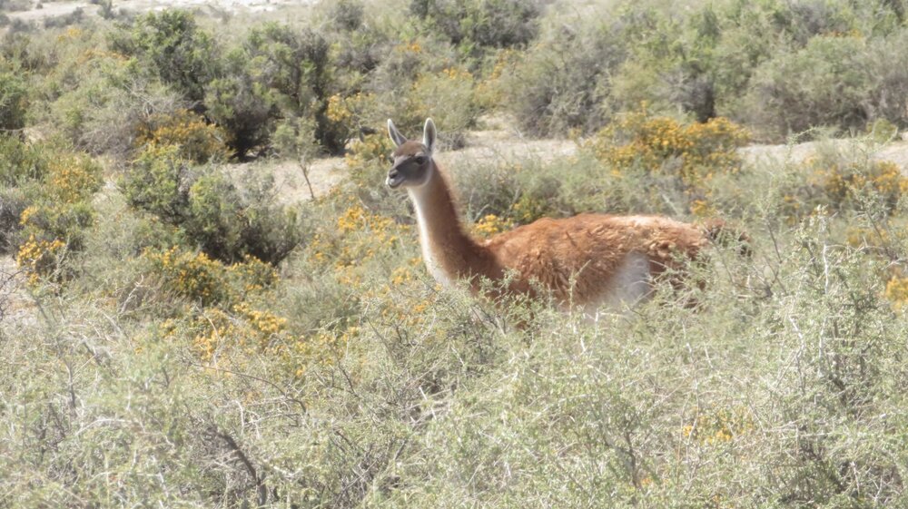 20240115113154_IMG_3108 (1).JPG