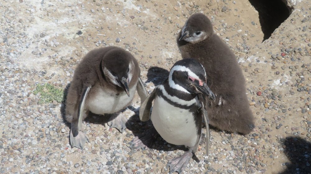 20240115114451_IMG_3136 (1).JPG