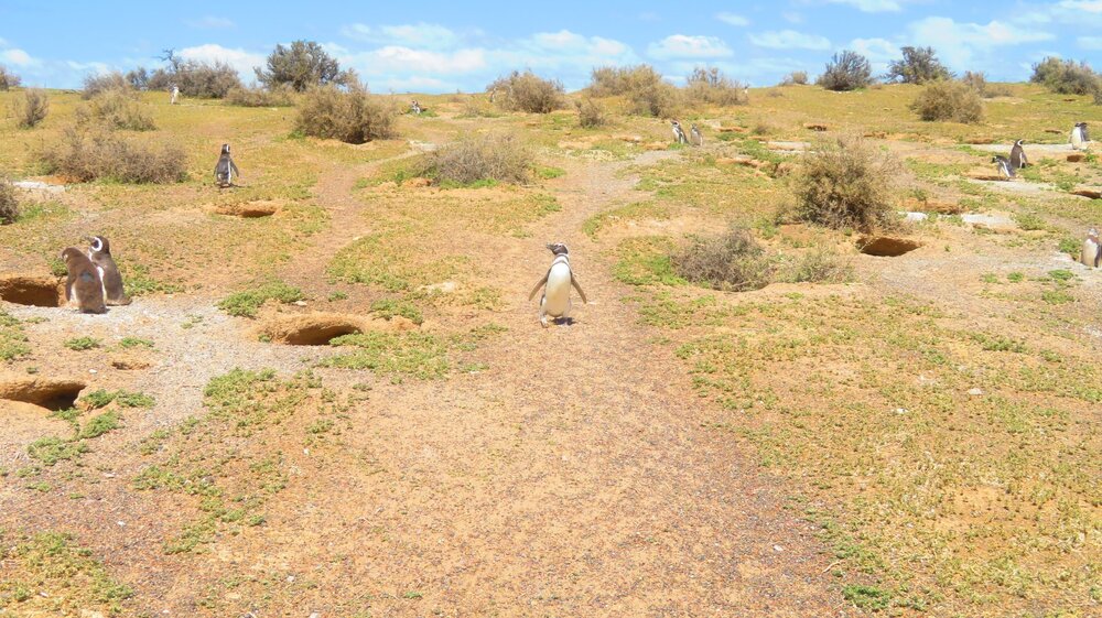 20240115115726_IMG_3170 (1).JPG