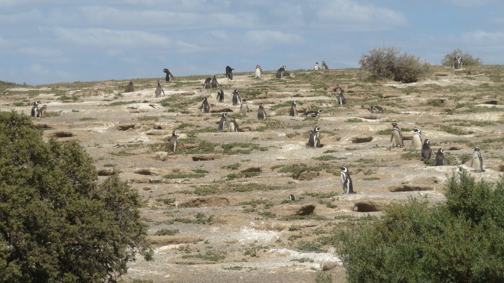 20240115120023_IMG_3177 (1).JPG