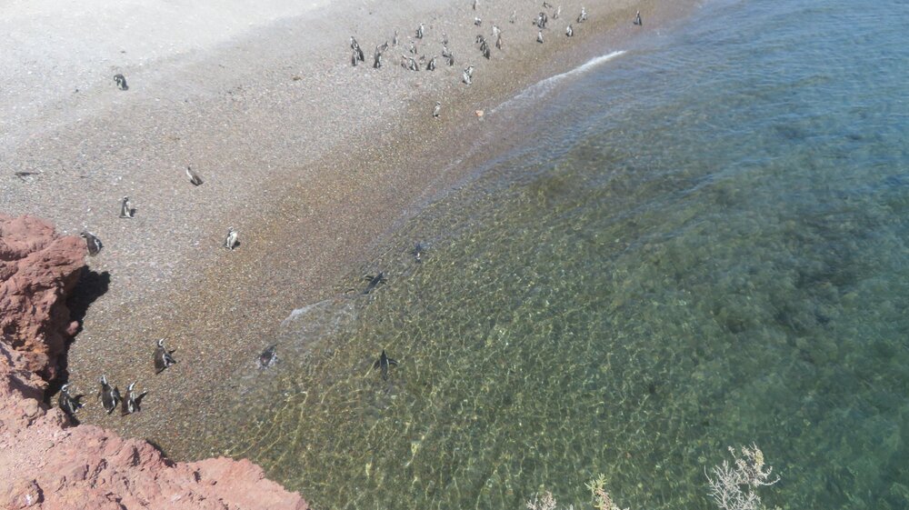 20240115121151_IMG_3190 (1).JPG