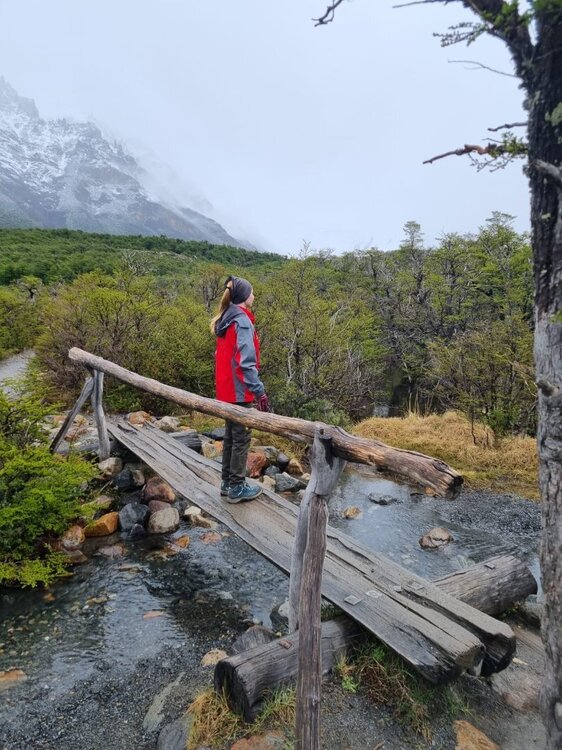 Imagem do WhatsApp de 2024-03-04 à(s) 11.09.39_77cef303.jpg