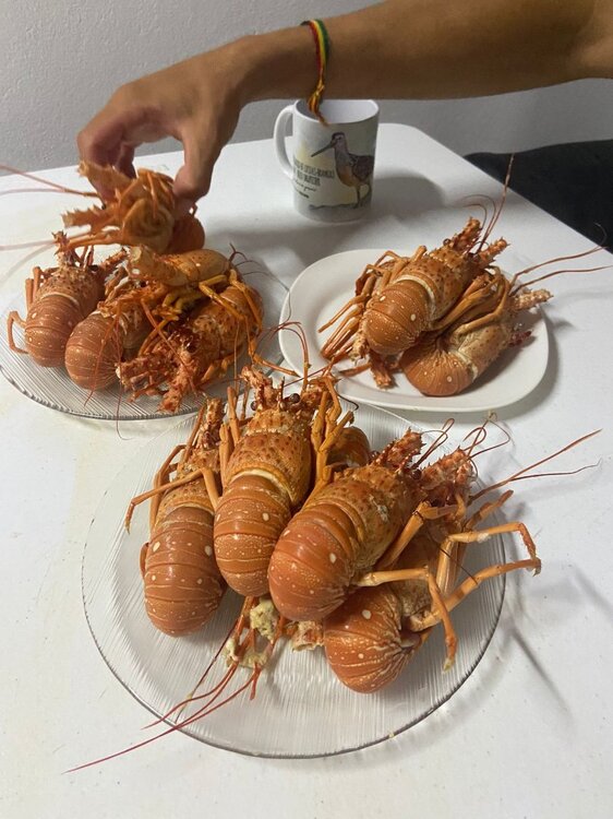 WhatsApp Image 2024-04-12 at 11.40.41 (1).jpeg