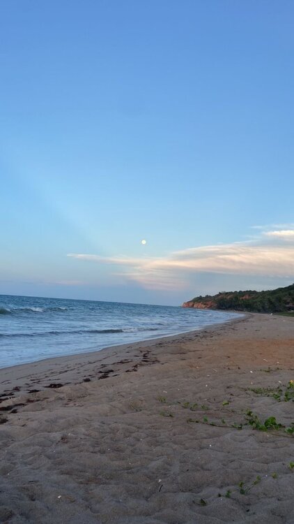 WhatsApp Image 2024-04-12 at 11.40.39.jpeg