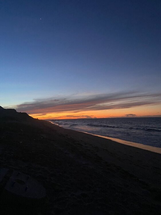 WhatsApp Image 2024-04-12 at 11.40.41.jpeg