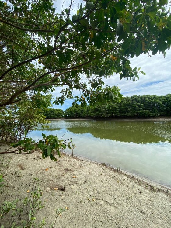 WhatsApp Image 2024-04-12 at 11.40.44.jpeg