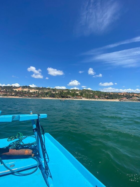 WhatsApp Image 2024-04-12 at 11.47.18.jpeg