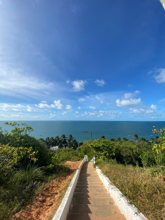 WhatsApp Image 2024-04-12 at 11.47.22.jpeg