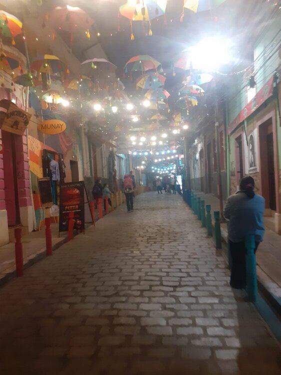 WhatsApp Image 2025-01-15 at 21.16.07 (3).jpeg