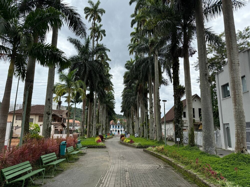 IMG_2426 - Copia.JPG