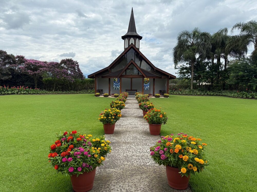 IMG_2554 - Copia.JPG